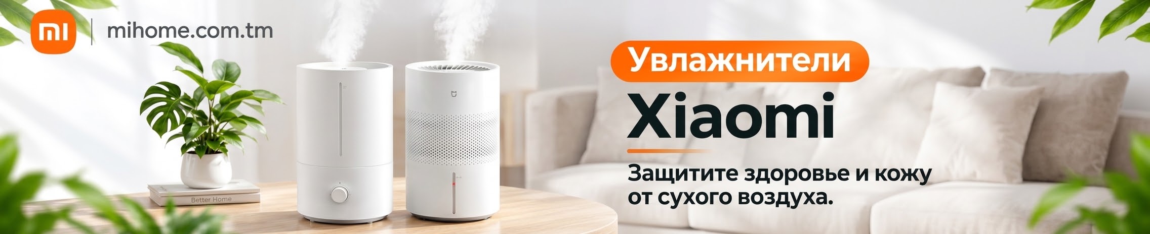 Promo banner